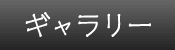 ギャラリー