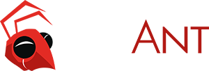 BigAntStudios