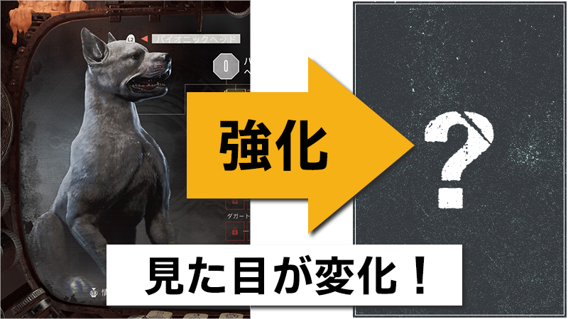 強化すると見た目も変化