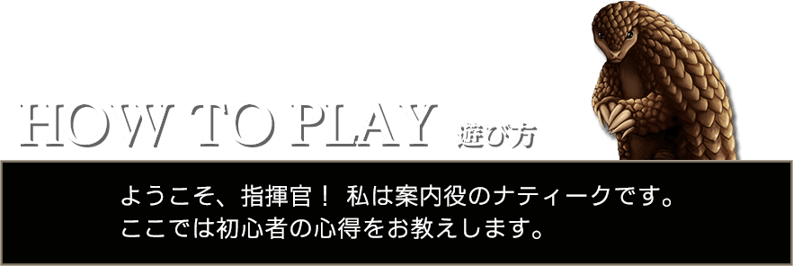 How to Play 遊び方